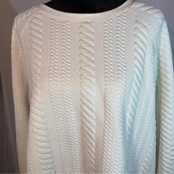 ADRIANNA PAPELL Ivory Plus Cable Knit Long Raglan Boxy Crew Neck Top 2X - Picture 3 of 8
